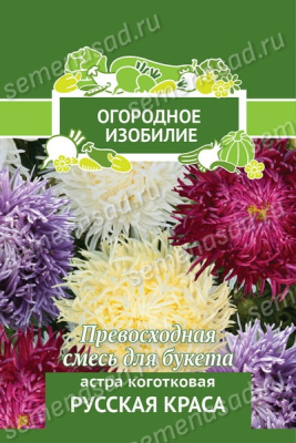 Астра коготковая Русская краса однолетняя (Огородное изобилие). Поиск