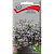 Бакопа Голубая лавина. Поиск