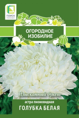 Астра пионовидная Голубка белая (Огородное изобилие), 0,3гр. Поиск