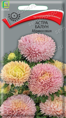 Астра Балун Абрикосовый  (однолетн.), 0,1гр. Поиск