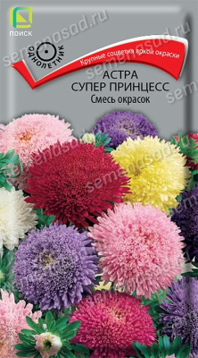 Астра Супер Принцесс Смесь окрасок (однолетн), 0,3гр. Поиск